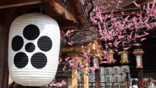 【お花見におすすめ】京都の花街「上七軒」