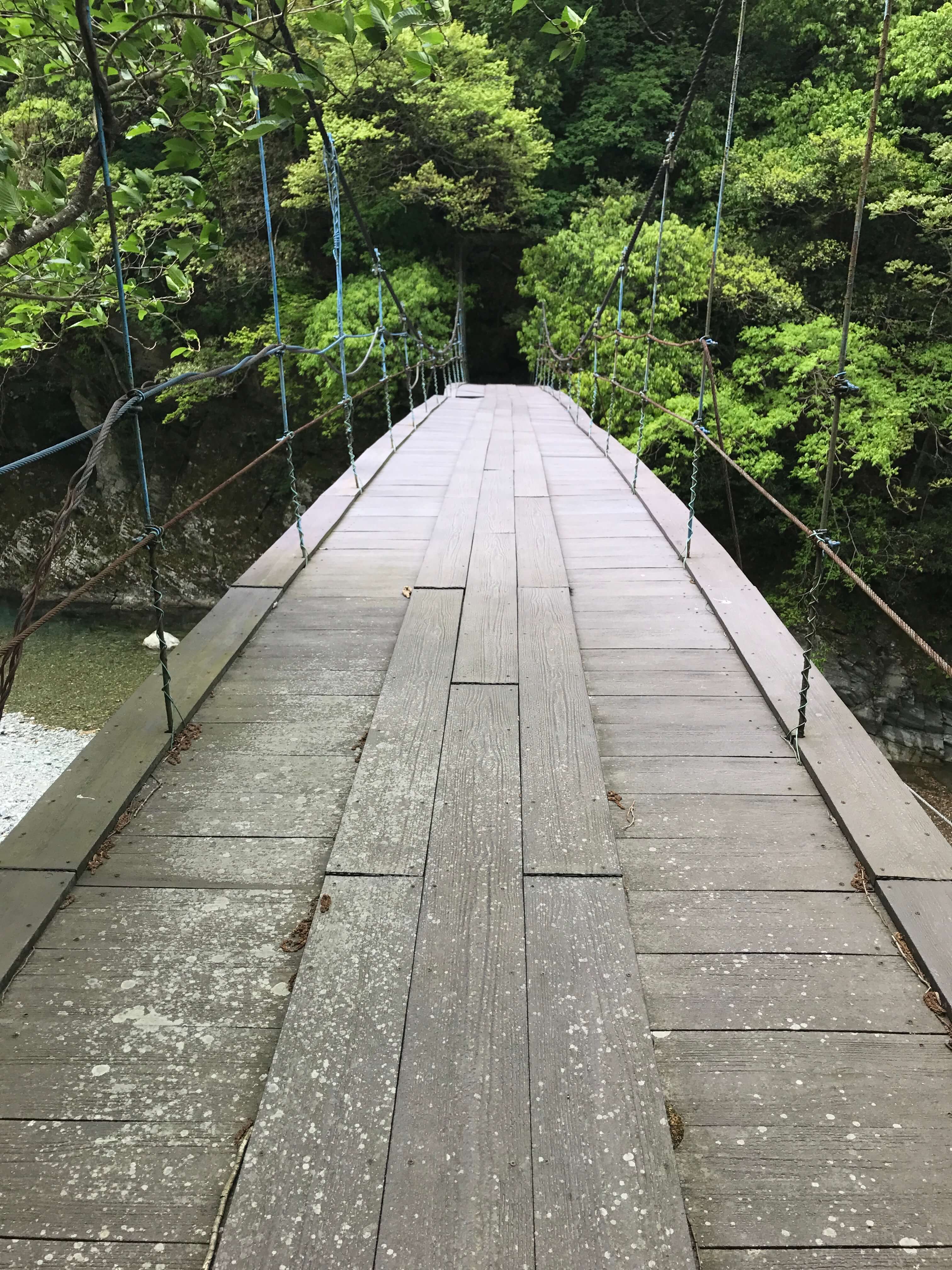 加茂川の橋