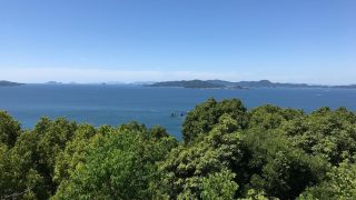 愛媛
