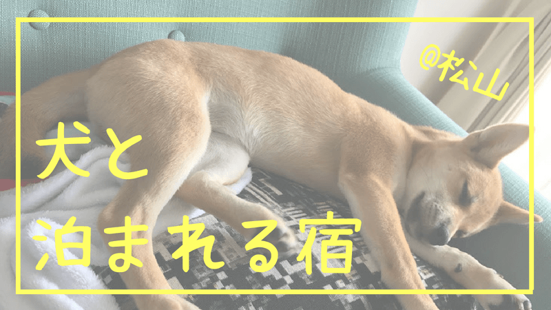 犬と 泊まれる宿 松山